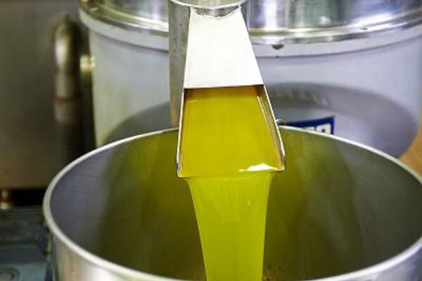 our olive oil